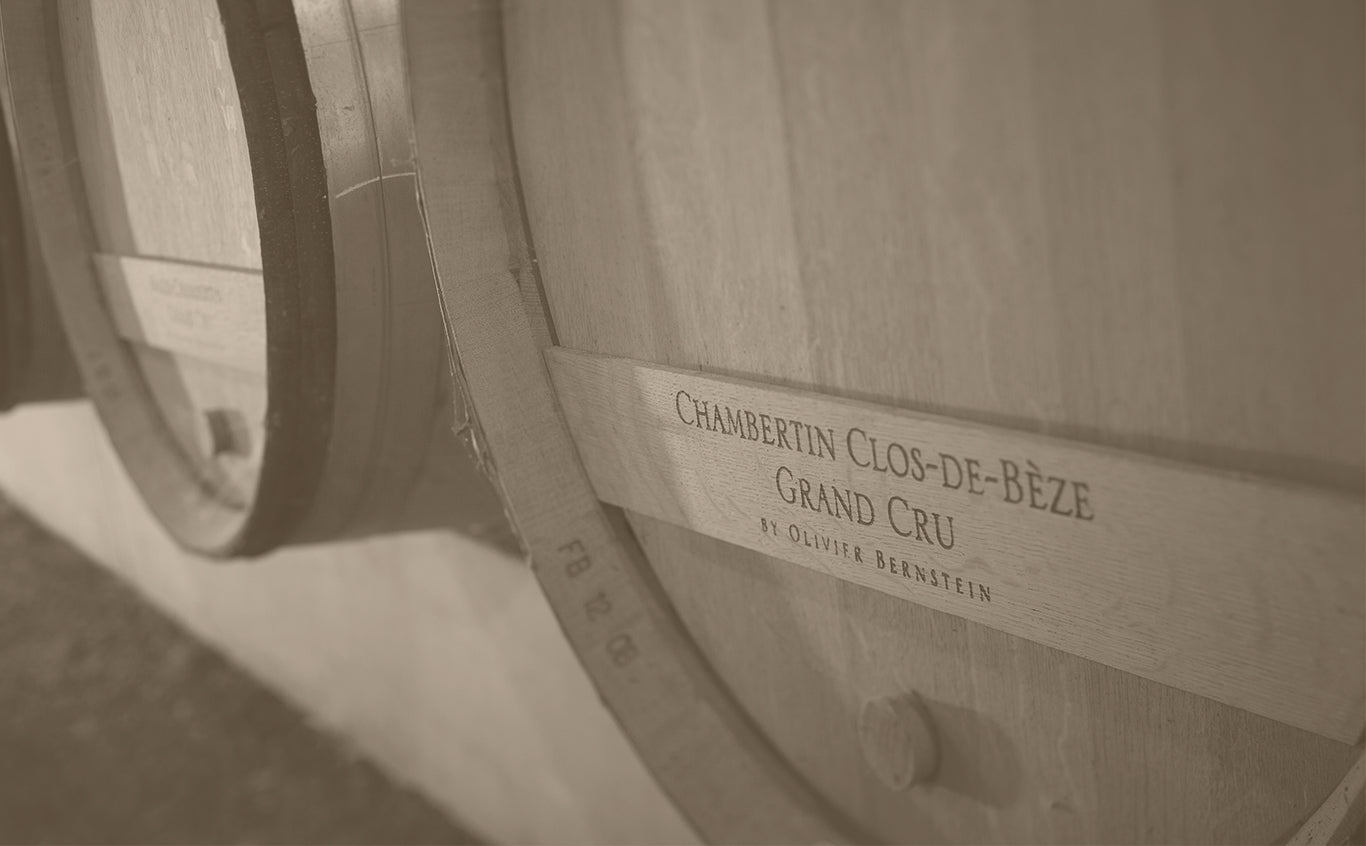 Olivier Bernstein – Cellar Door Aoyama Olivier Bernstein – Cellar Door Aoyama