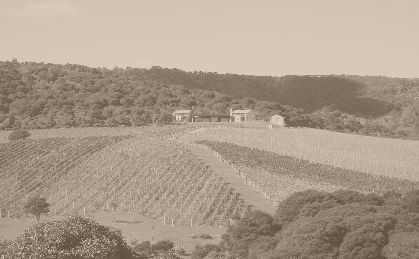 Soho Wines – Cellar Door Aoyama