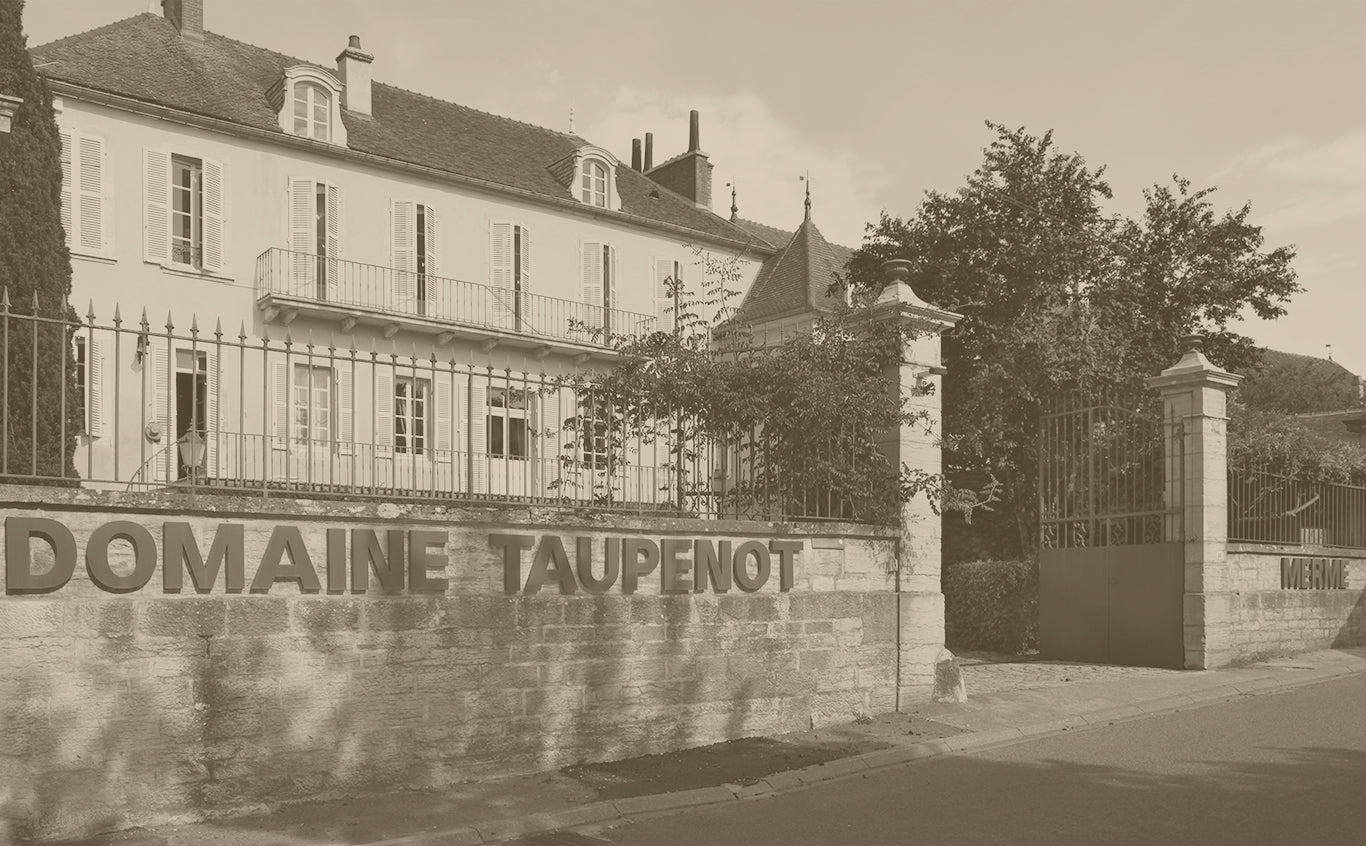 Domaine Taupenot-Merme – Cellar Door Aoyama