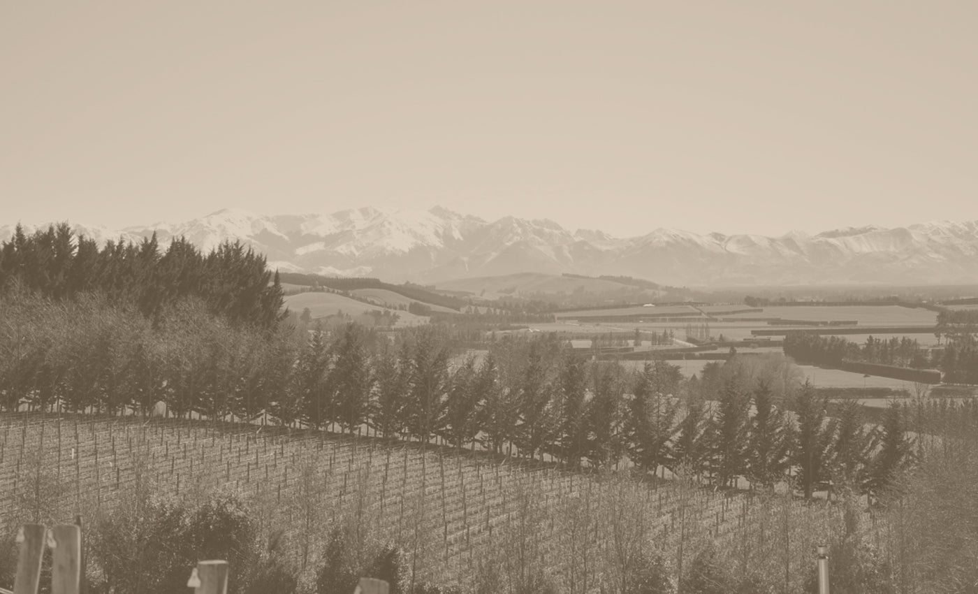Bell Hill Vineyard – Cellar Door Aoyama