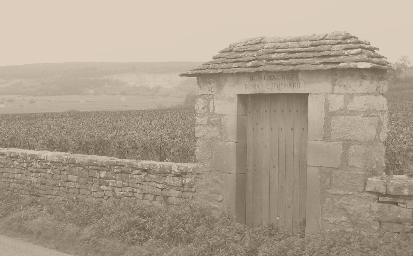 Domaine Thenard – Cellar Door Aoyama