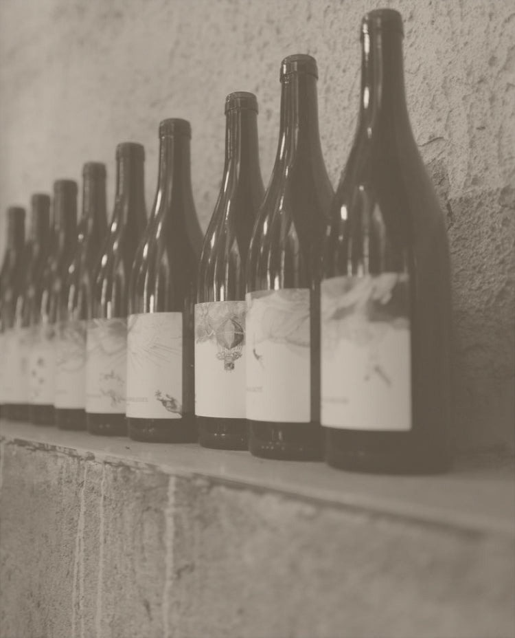 Les Horees – Cellar Door Aoyama