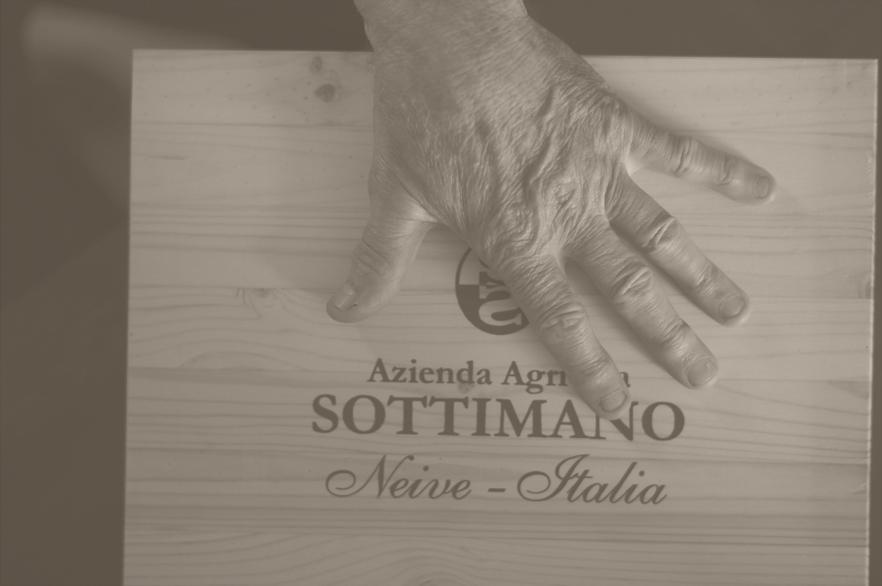 Sottimano – Cellar Door Aoyama