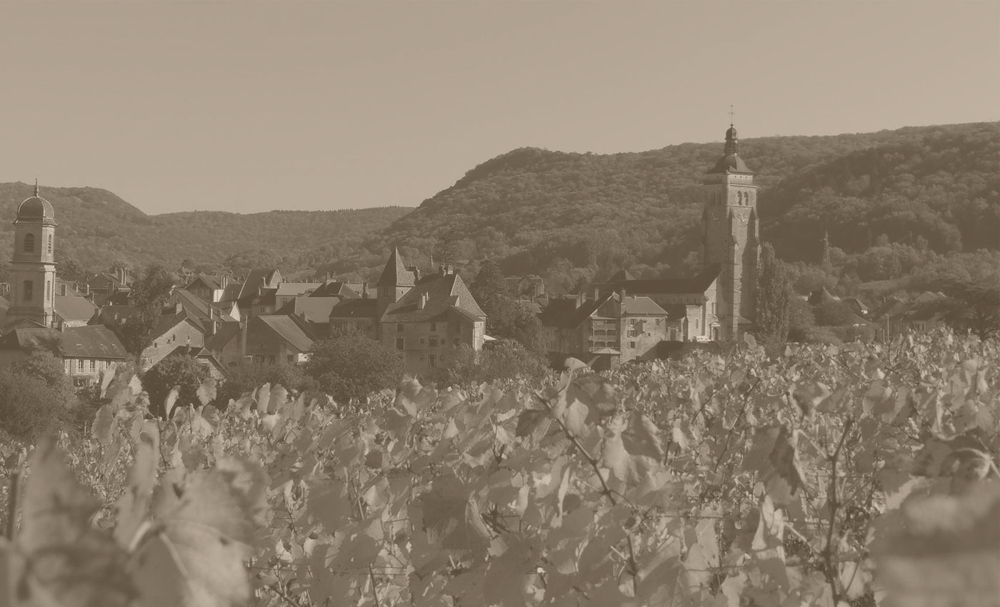 Domaine de la Touraize – Cellar Door Aoyama