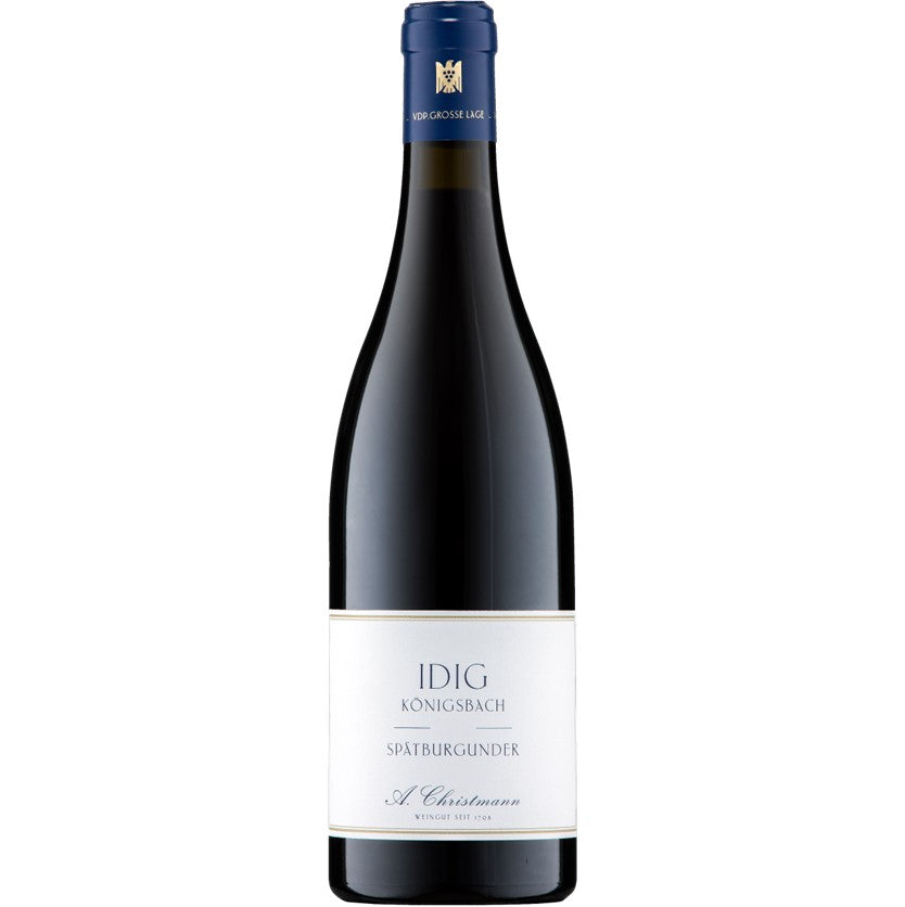 51660.jpg?v=1739512183