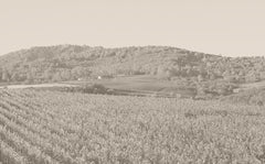 Animo (Michael Mondavi Family)