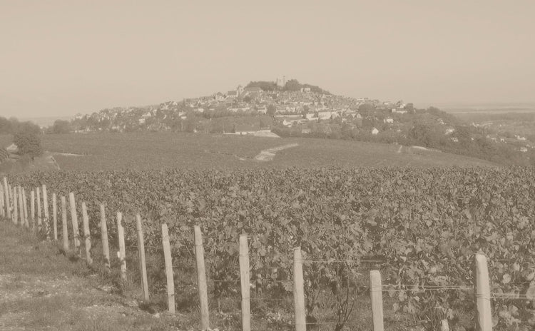 Loire/ロワール