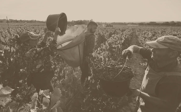 Clos de la Roilette
