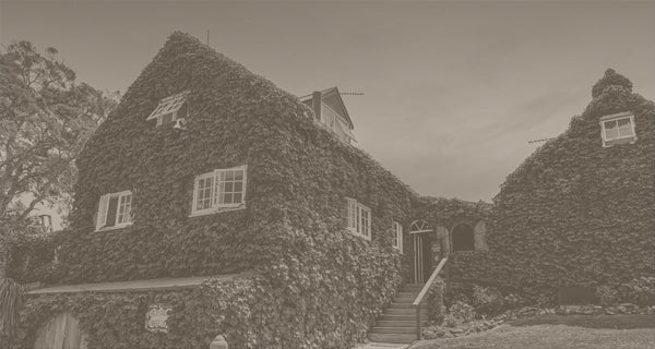 Stony Ridge Vineyard