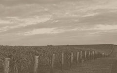 Australia/オーストラリア