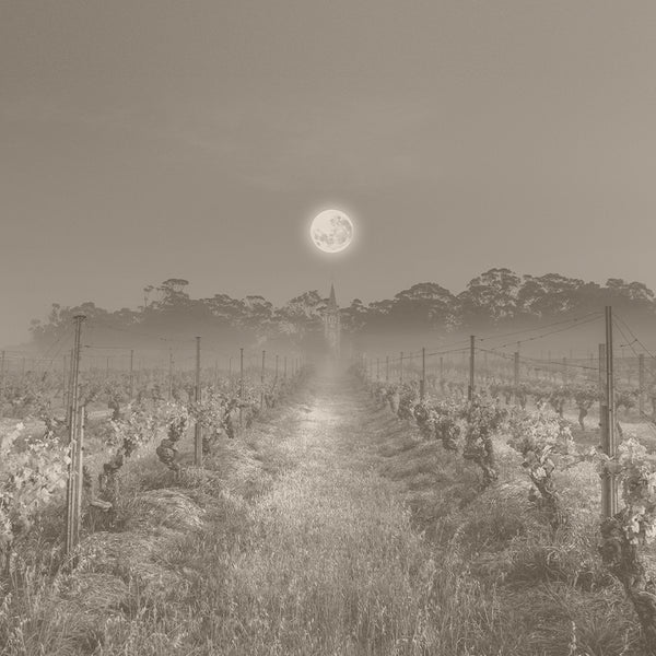 Henschke – Cellar Door Aoyama