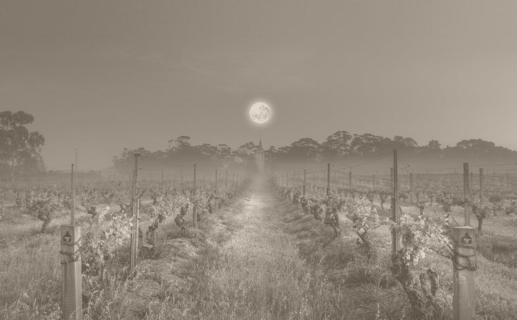Barossa Valley