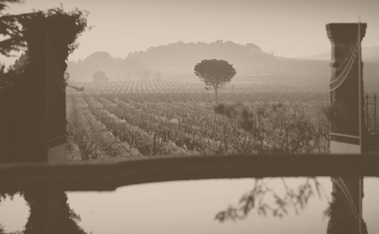 Southern Rhone Valley