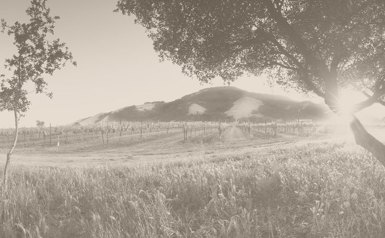 Sonoma County