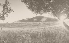 Matanzas Creek Winery