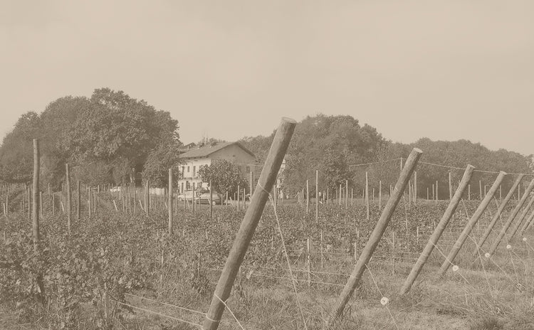 Proprietà Sperino
