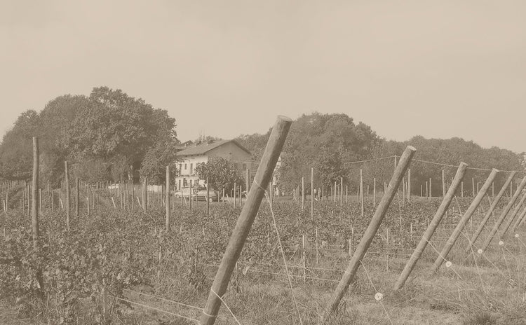 Piemonte/ピエモンテ