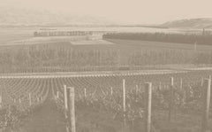 New Zealand/ニュージーランド