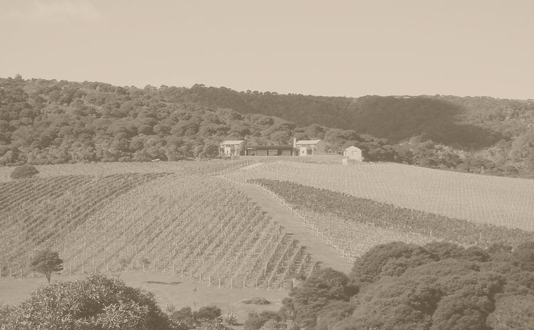 Soho Wines