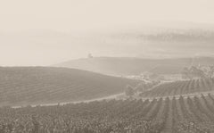 Tablas Creek Vineyard