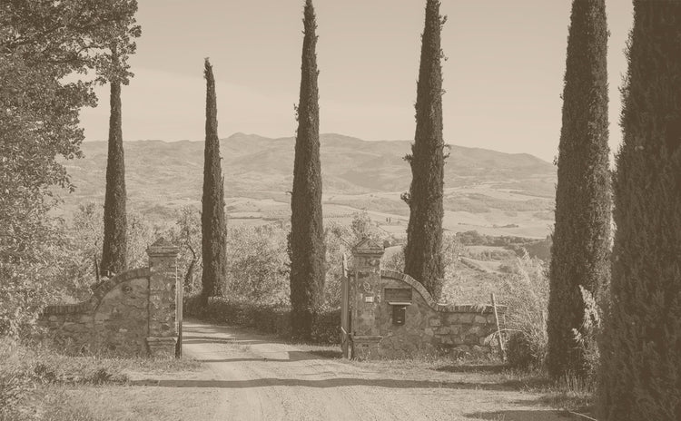 Tenuta Buon Tempo