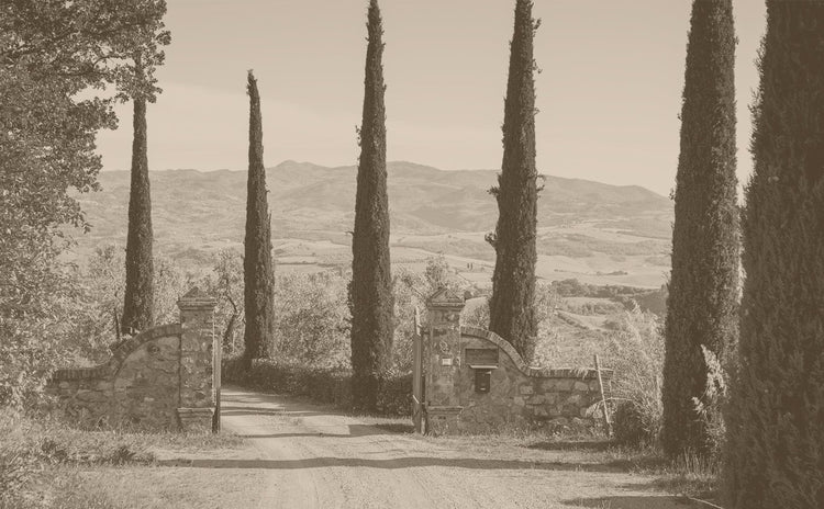 Toscana/トスカーナ