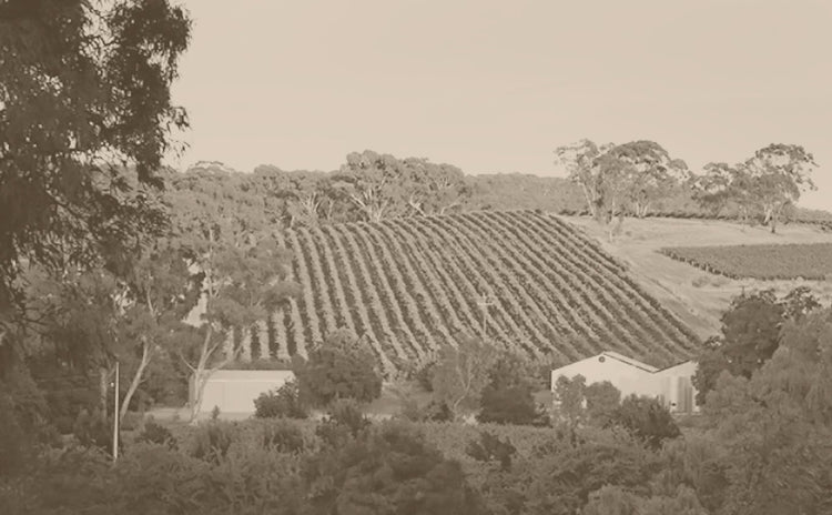 Clare Valley