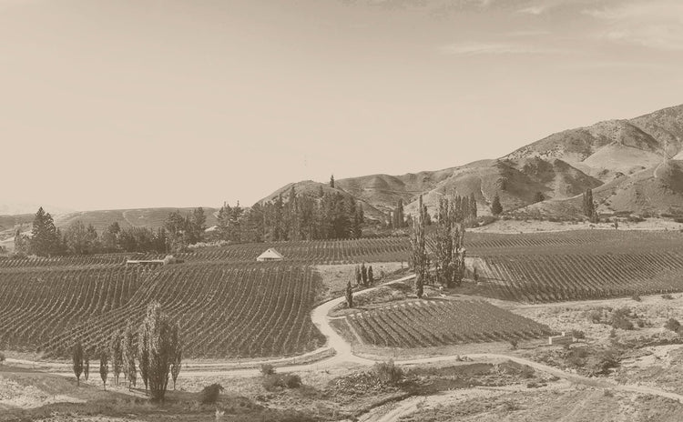 Central Otago