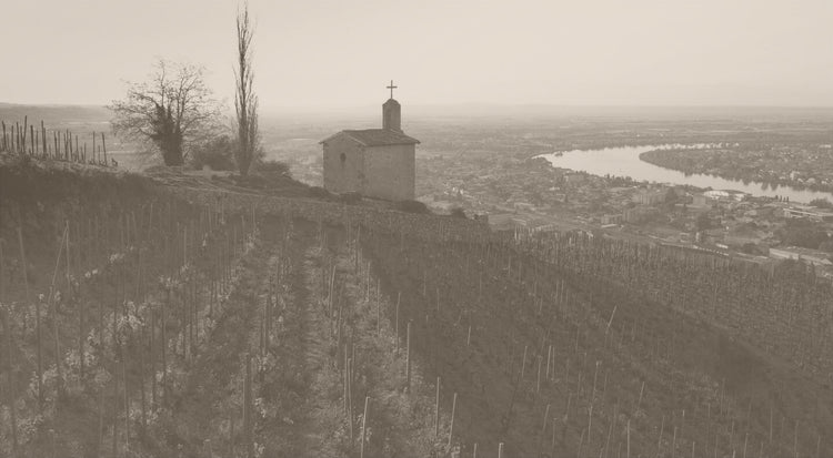 Paul Jaboulet Aine (Domaine de La Chapelle)