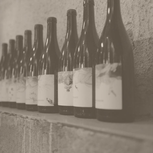 Les Horees – Cellar Door Aoyama