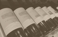 Tenuta dell'Ornellaia