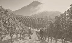 Peter Michael Winery