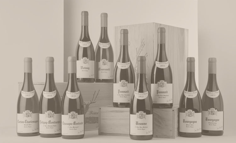 Jean-Marie Fourrier Vigne Comte de Chapelle
