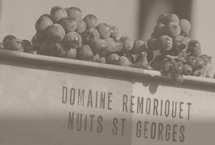 Domaine Henri et Gilles Remoriquet