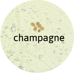 シャンパーニュ