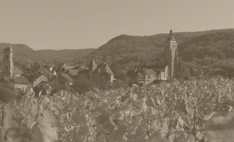 Domaine de la Touraize