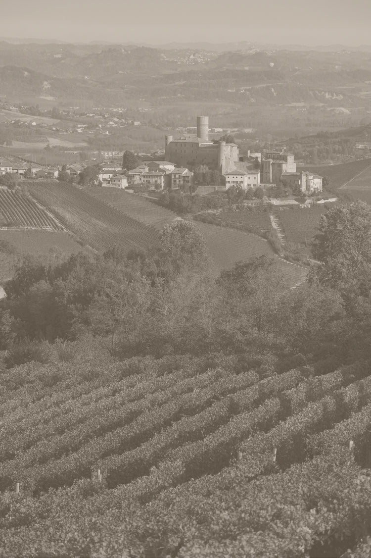 Vietti