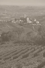 Vietti