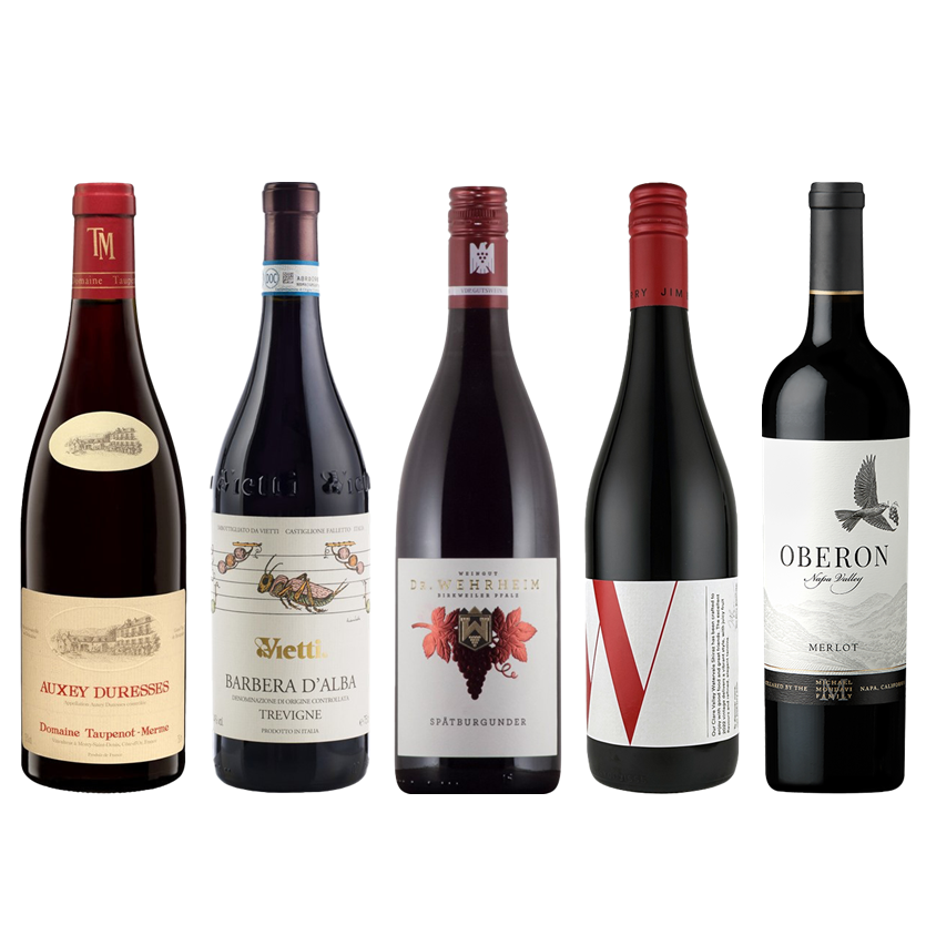 【30%OFF】5月のおすすめ赤5本セット /  May Select Red 5 btls Set