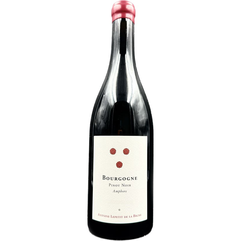 Antoine Lepetit de la Bigne / Bourgogne Pinot Noir Amphore 2022