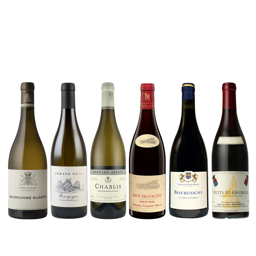ブルゴーニュ最新ヴィンテージ紅白6本セット / Burgundy Red & White Selection – 6 Latest Vintage Bottles