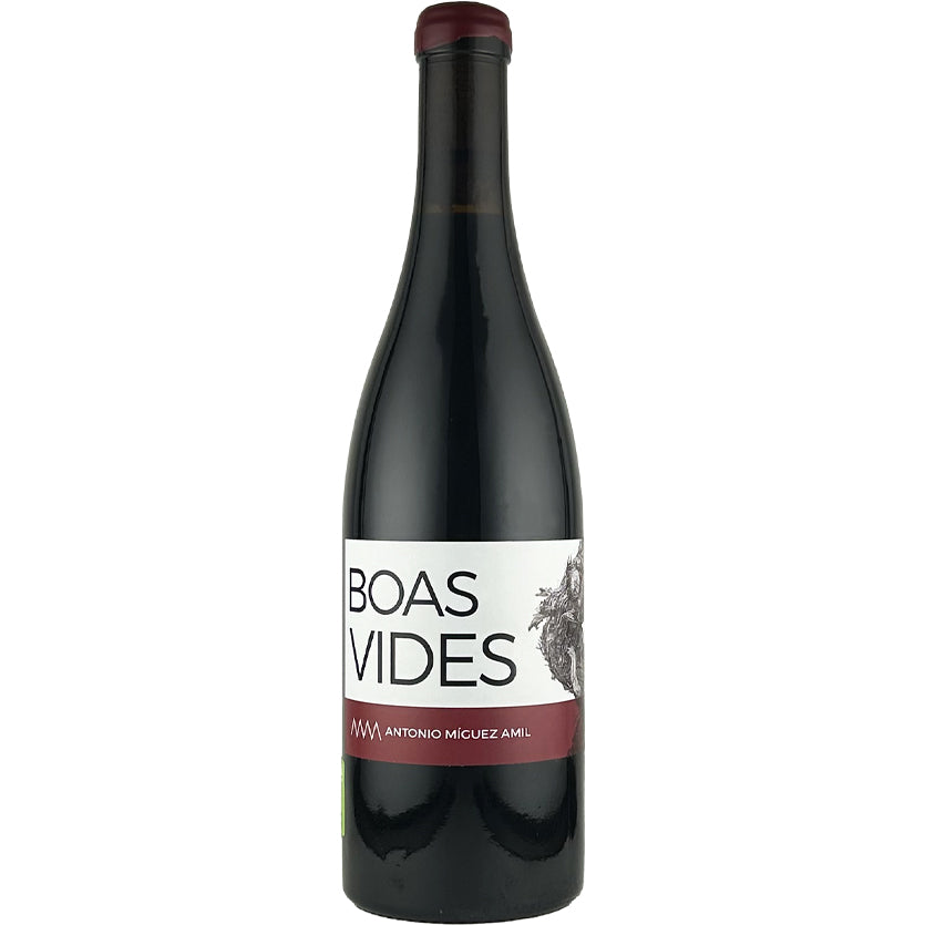 Antonio Miguez Amil / Boas Vides