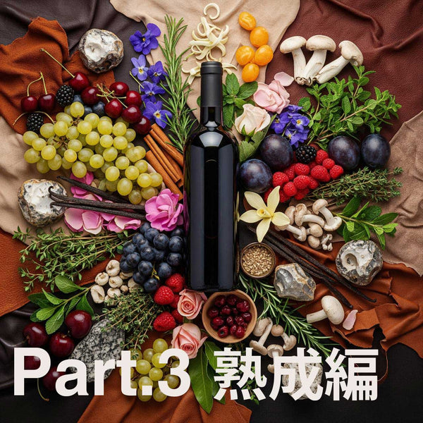 11/23(木) Basic Flavor Wine Science Part.3 熟成編